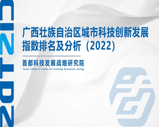 插抽操【成果发布】广西壮族自治区城市科技创新发展指数排名及分析（2022）